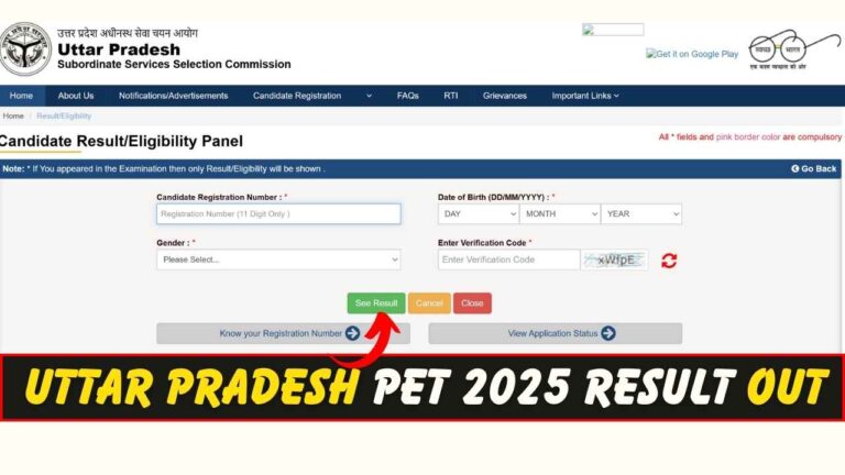 UTTAR PRADESH PET 2025 RESULT OUT CHECK SCORECARDS OF GROUP B C visual data 2